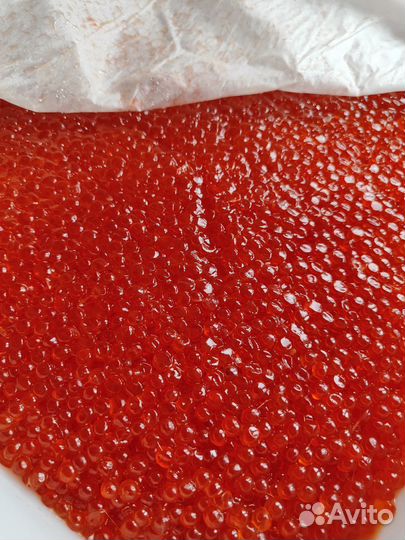 Красная Икра Кеты