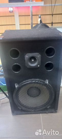 Колонки Soundking 250 Вт