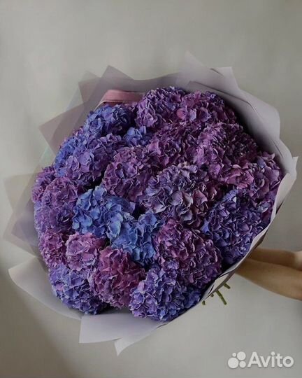 Гортензия букет