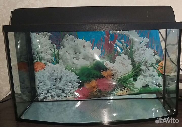 Аквариум 45-50 литров