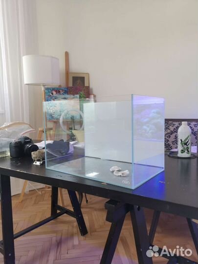 Аквариум ADA, флорариум, аквариумные растения