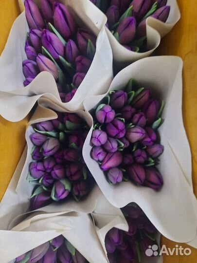 Тюльпаны к 8 марта оптом