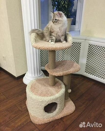 Игровой комплекс для крупных пород кошек