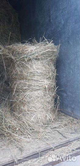 Продам сено в рулонах
