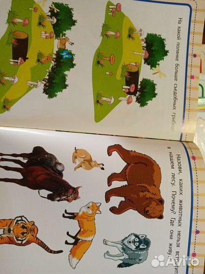 Развивающие книги для детей дошкольников