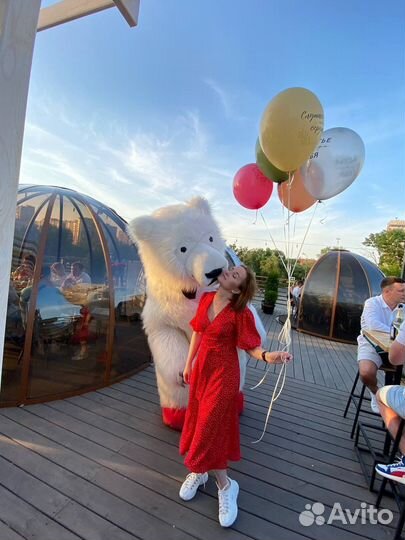 Поздравление Белого Медведя