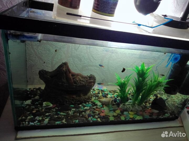 Аквариум 65 литров