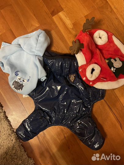 Одежда для собак