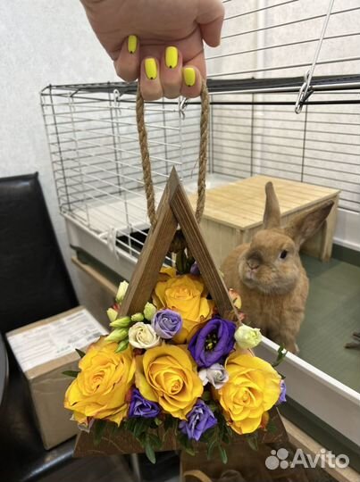 Корзина для флориста / скворечник