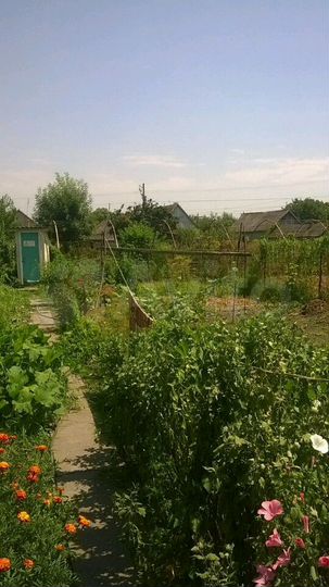 Дом 64 м² на участке 6 сот.