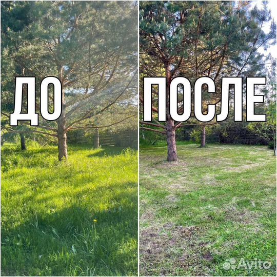 Покос травы, скарификация