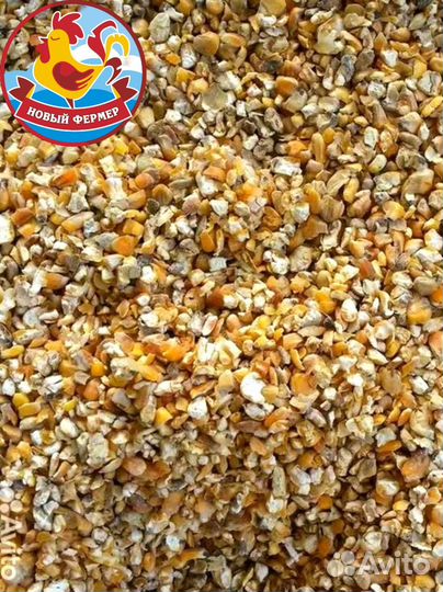 Кукуруза кормовая