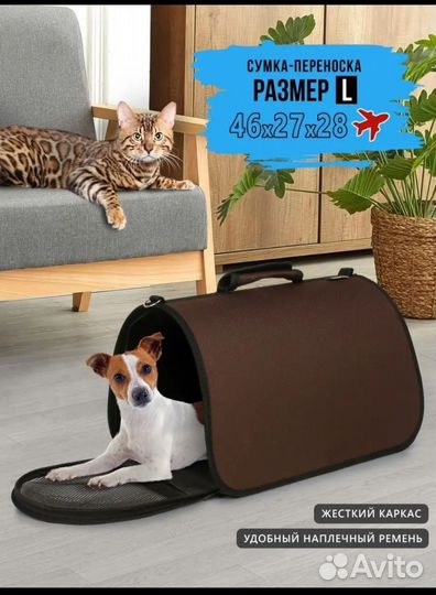 Переноска для кошек и маленьких собак