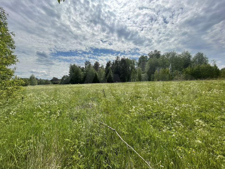 Участок 20 сот. (СНТ, ДНП)