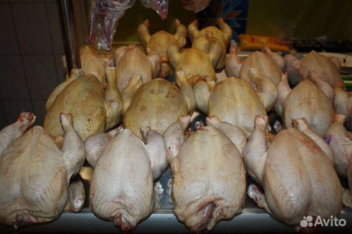 Мясо домашней птицы