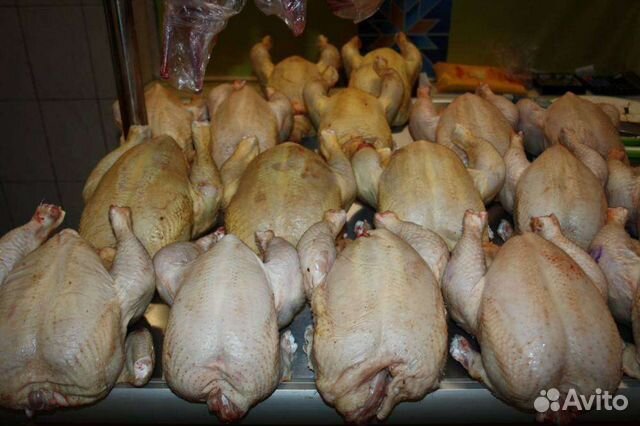 Мясо домашней птицы