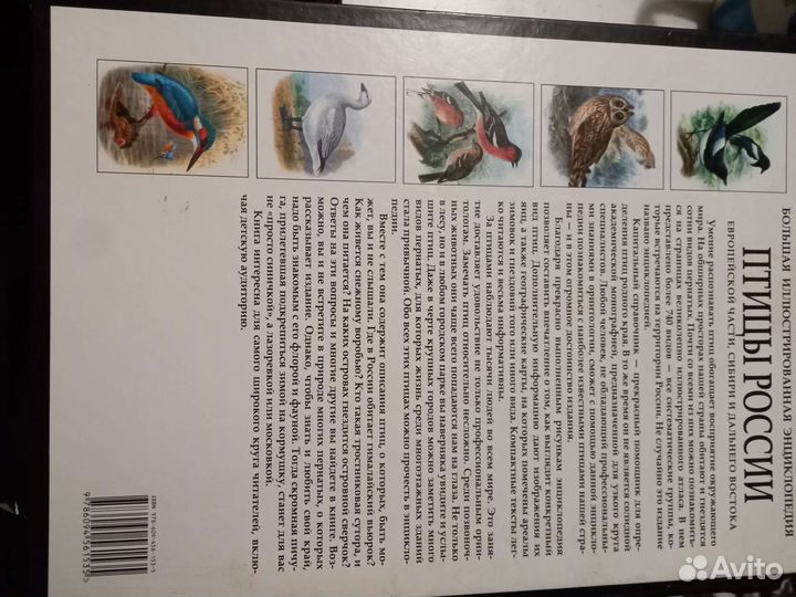 Большая иллюстрированная энциклопедия