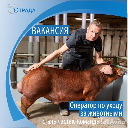 Оператор по уходу за животными (с. Пушкино)