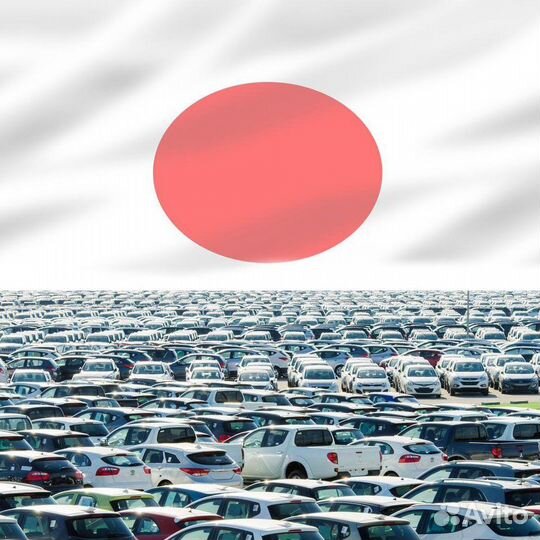 Бизнес (или инвестиции) в авто из Японии и Кореи