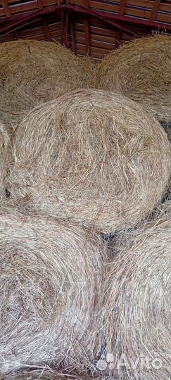 Сено в рулонах и тюках