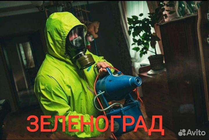 Дезинфекция уничтожение Клопы,тараканы,клещ,мышь