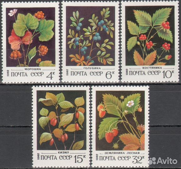 Флора на марках СССР