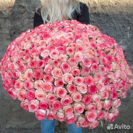 Букет из 301 розы Голландия