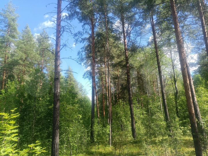 Участок 1,83 га (СНТ, ДНП)