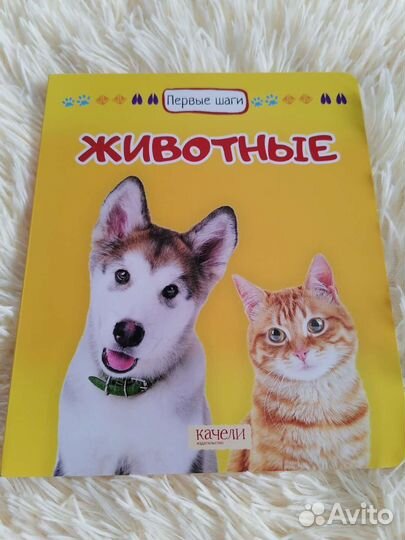 Развивающие книги 