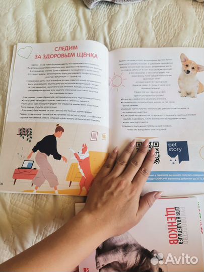 Руководство по воспитанию щенков