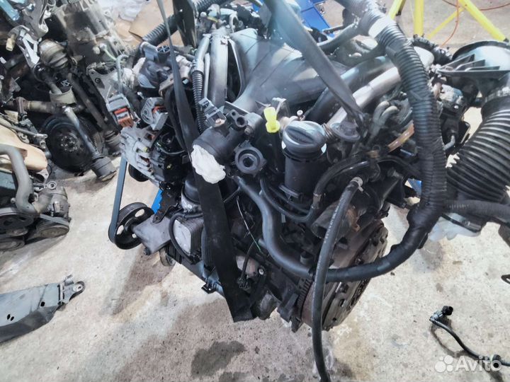 Двигатель RHK 10dyul Peugeot Expert