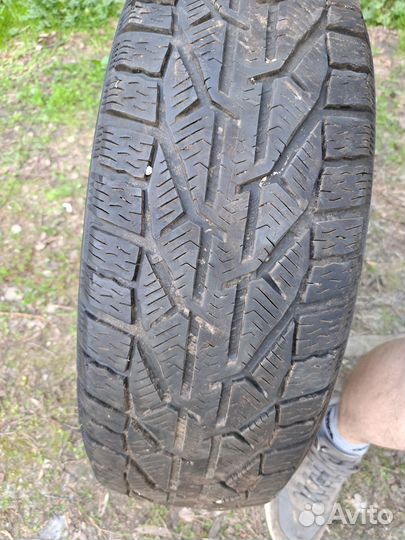 Kormoran Winter S100 6/10 R10 28K