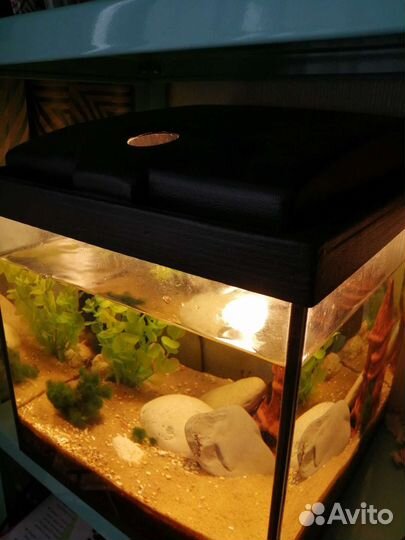 Аквариум
