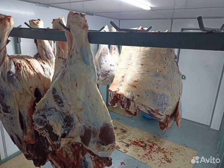 Мясо халяль