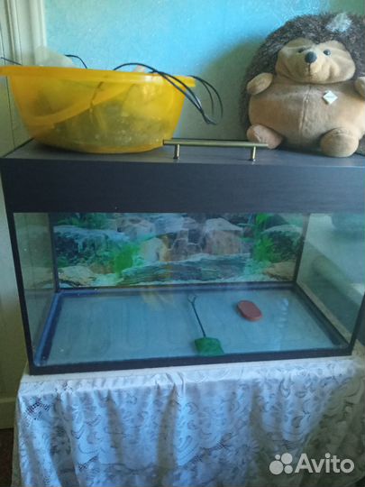 Аквариум