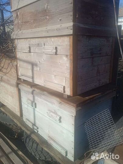 Продам ульи для пчел