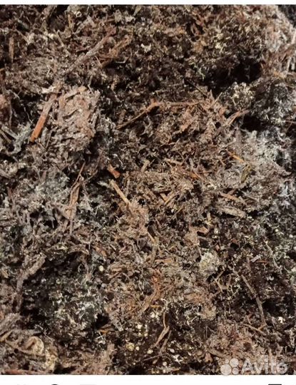 Грибные блоки отработанные