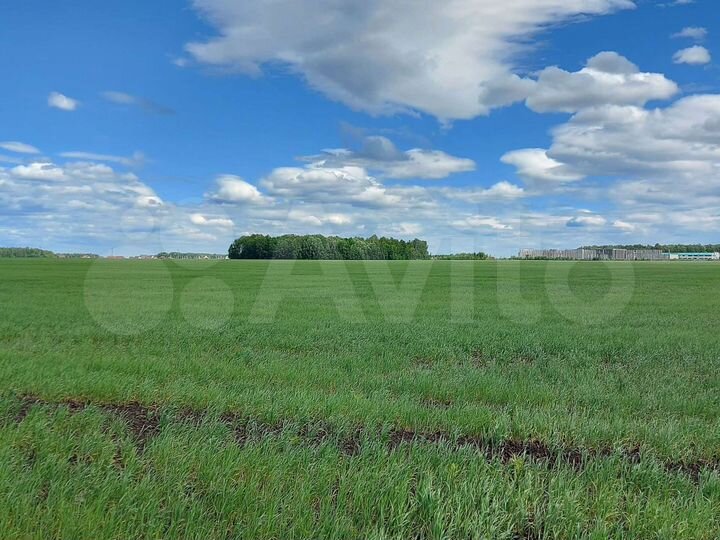 Участок 4 га (ИЖС)