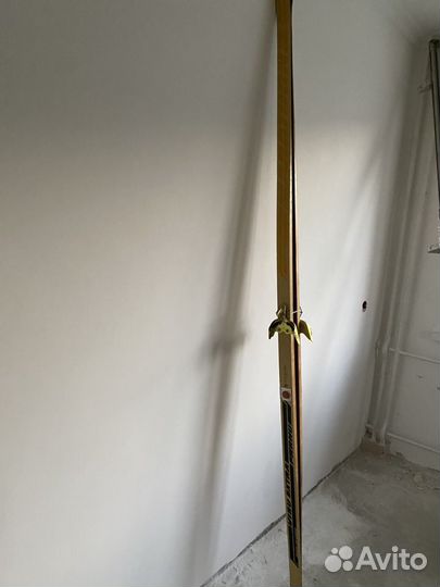 Беговые лыжи