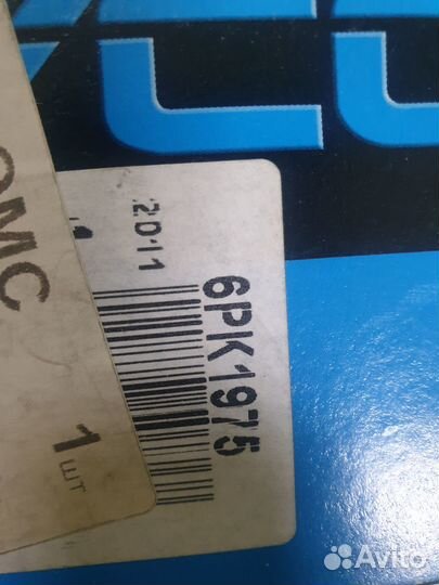 Ремень поликлиновый ford Focus