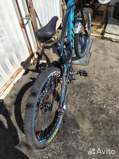 DH scott Gambler