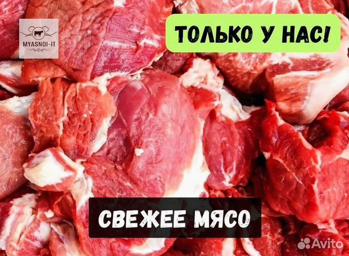 Мясо телятины
