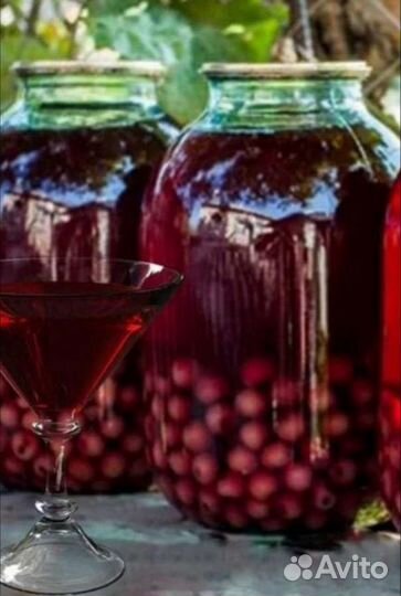 Вишнёвый компот