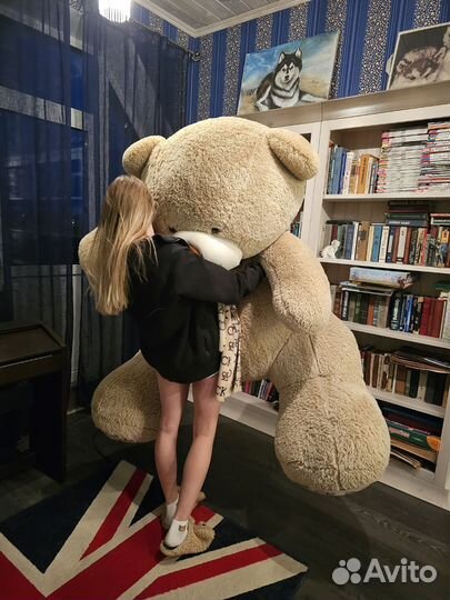 Плюшевый медведь