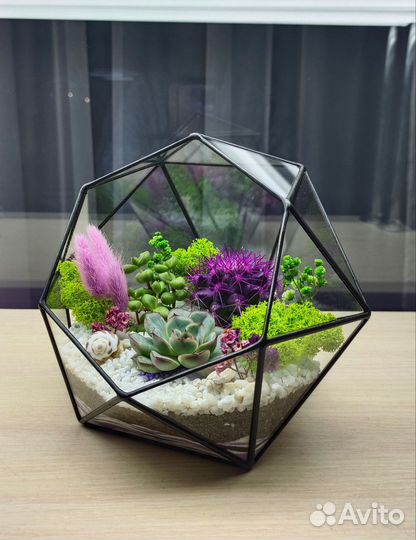 Флорариум с суккулентами