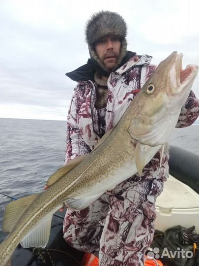 Треска шкереная без головы