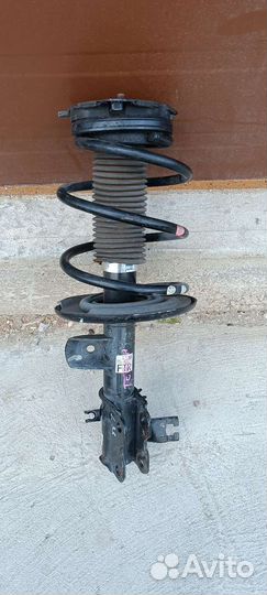 Амортизатор передний Правый Nissan Teana L33