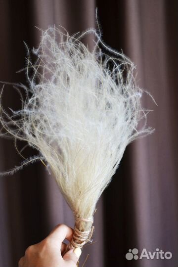 Сухоцветы, гелихризум, ковыль овес, пампас, пальма