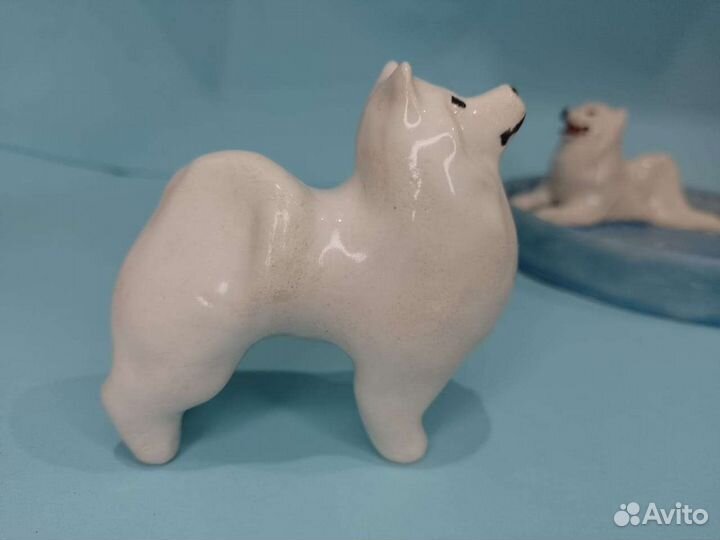 Самоеды в миниатюре