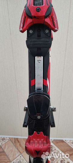 Горные лыжи